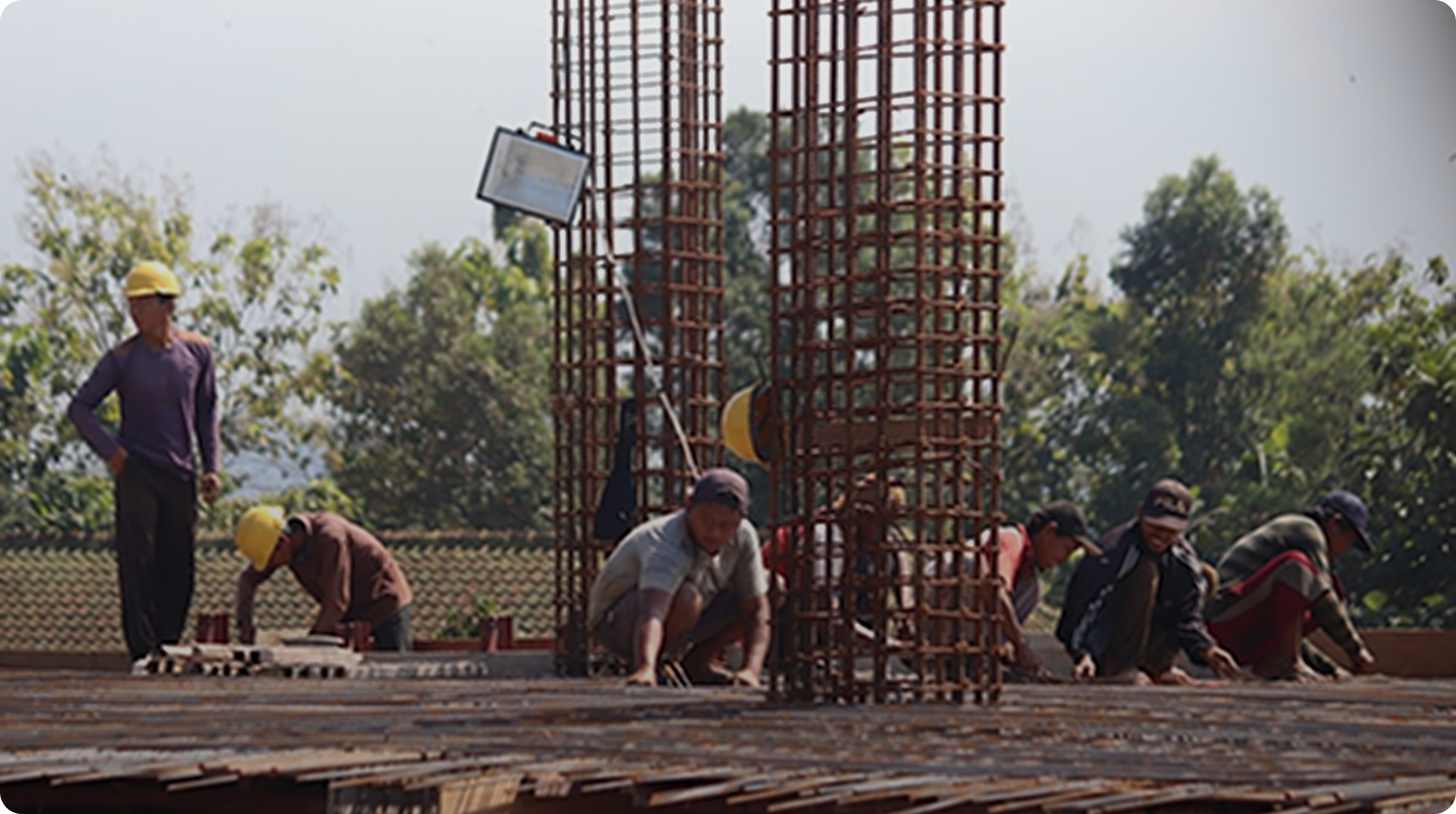 Projects & Programmes